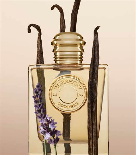 burberry goddess roll on|Burberry eau de parfum.